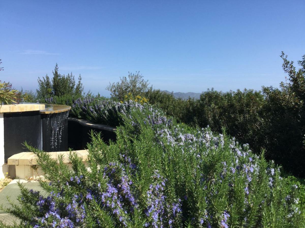 לינה וארוחת בוקר Villa San Pietro Le Tre Civette - Residenza Di Campagna מראה חיצוני תמונה
