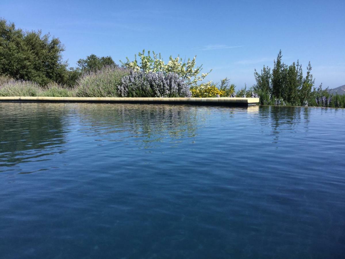 לינה וארוחת בוקר Villa San Pietro Le Tre Civette - Residenza Di Campagna מראה חיצוני תמונה